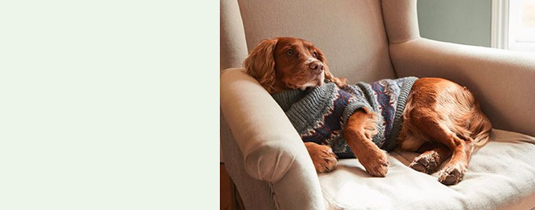 Petcare