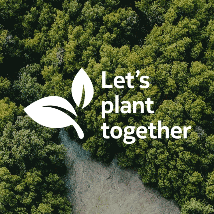 A sustainable future