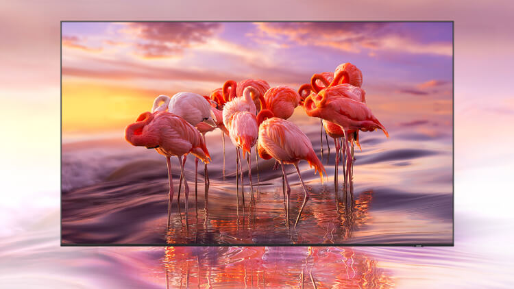 Over a billion shades of cinematic colour that’ll look incredible for years to come