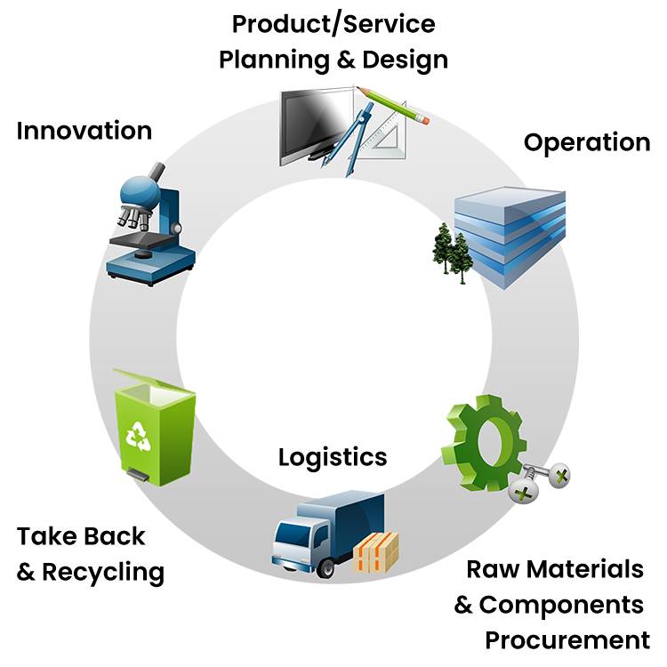 Product life cycles